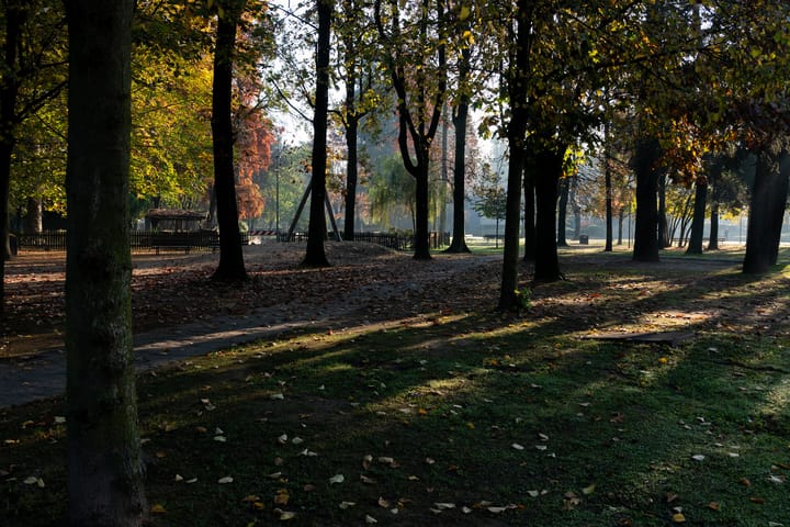 PARCO METTEI (SNAM)